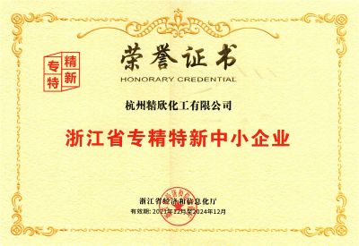 浙江省專精特新企業證書